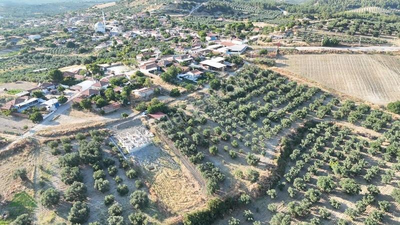 İmarlı Arsa Vasfında Zeytinlik Ev Yapılabilinir