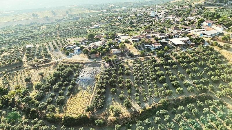 İmarlı Arsa Vasfında Zeytinlik Ev Yapılabilinir — fotoğraf 2