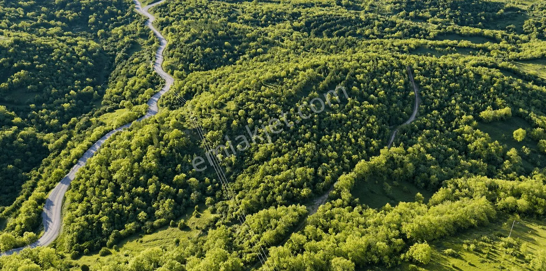 1.157 M2 Satılık Tarla Keşif Arazi. Asfaltta Yakın, Ormandan Özel Yolu Var. — fotoğraf 3