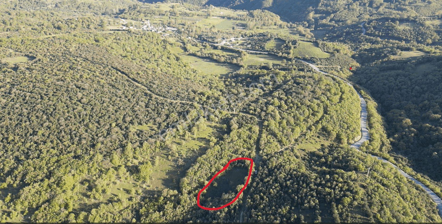 1.157 M2 Satılık Tarla Keşif Arazi. Asfaltta Yakın, Ormandan Özel Yolu Var. — fotoğraf 7