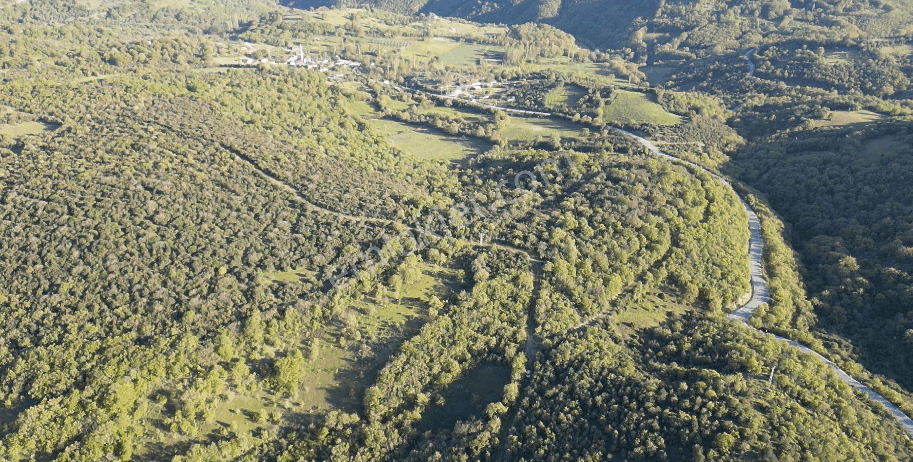 1.157 M2 Satılık Tarla Keşif Arazi. Asfaltta Yakın, Ormandan Özel Yolu Var. — fotoğraf 8