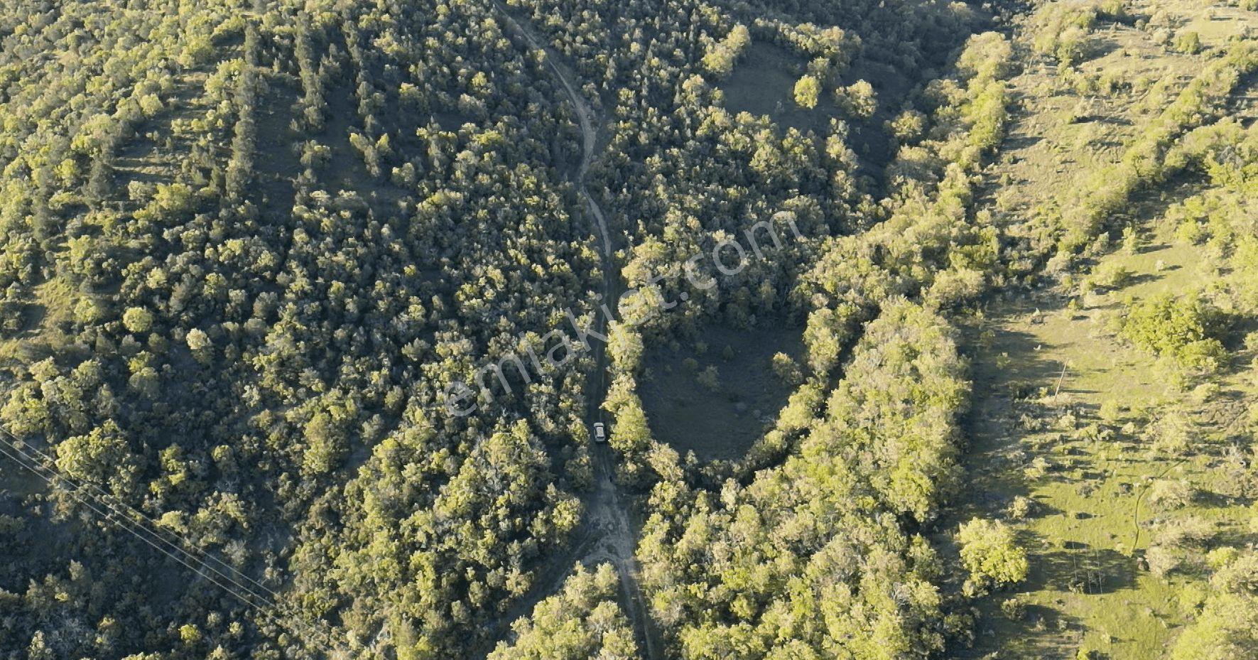 1.157 M2 Satılık Tarla Keşif Arazi. Asfaltta Yakın, Ormandan Özel Yolu Var. — fotoğraf 9