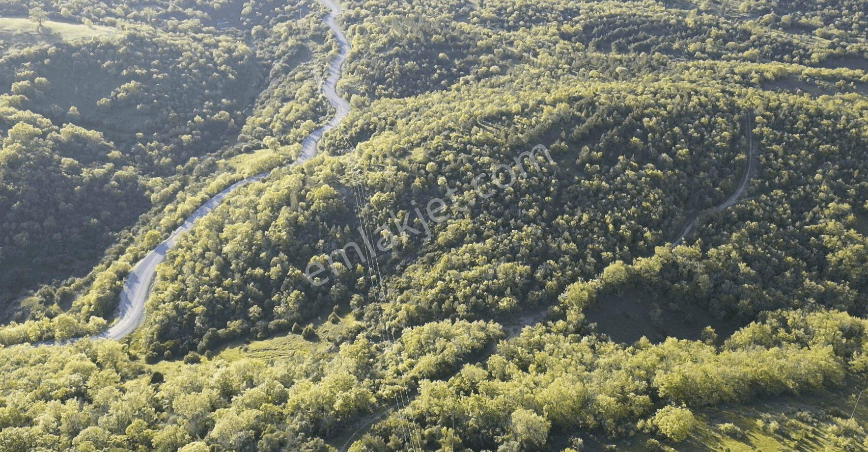 1.157 M2 Satılık Tarla Keşif Arazi. Asfaltta Yakın, Ormandan Özel Yolu Var. — fotoğraf 11