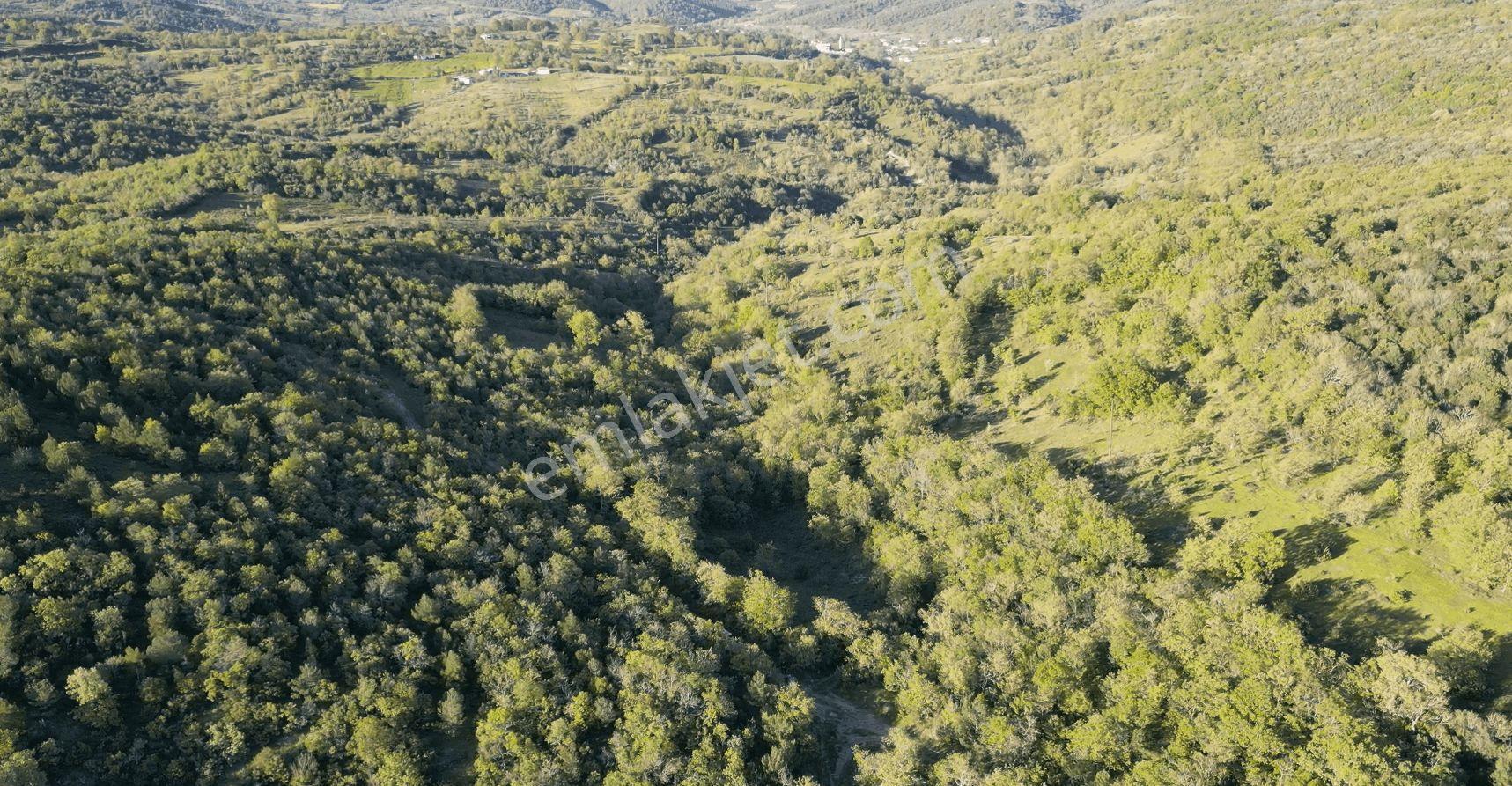 1.157 M2 Satılık Tarla Keşif Arazi. Asfaltta Yakın, Ormandan Özel Yolu Var. — fotoğraf 13