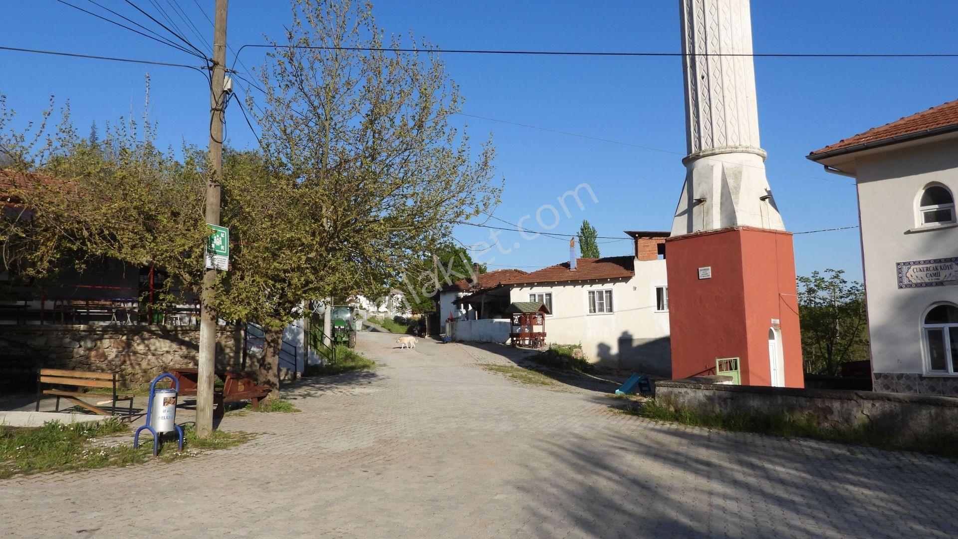 1.157 M2 Satılık Tarla Keşif Arazi. Asfaltta Yakın, Ormandan Özel Yolu Var. — fotoğraf 14