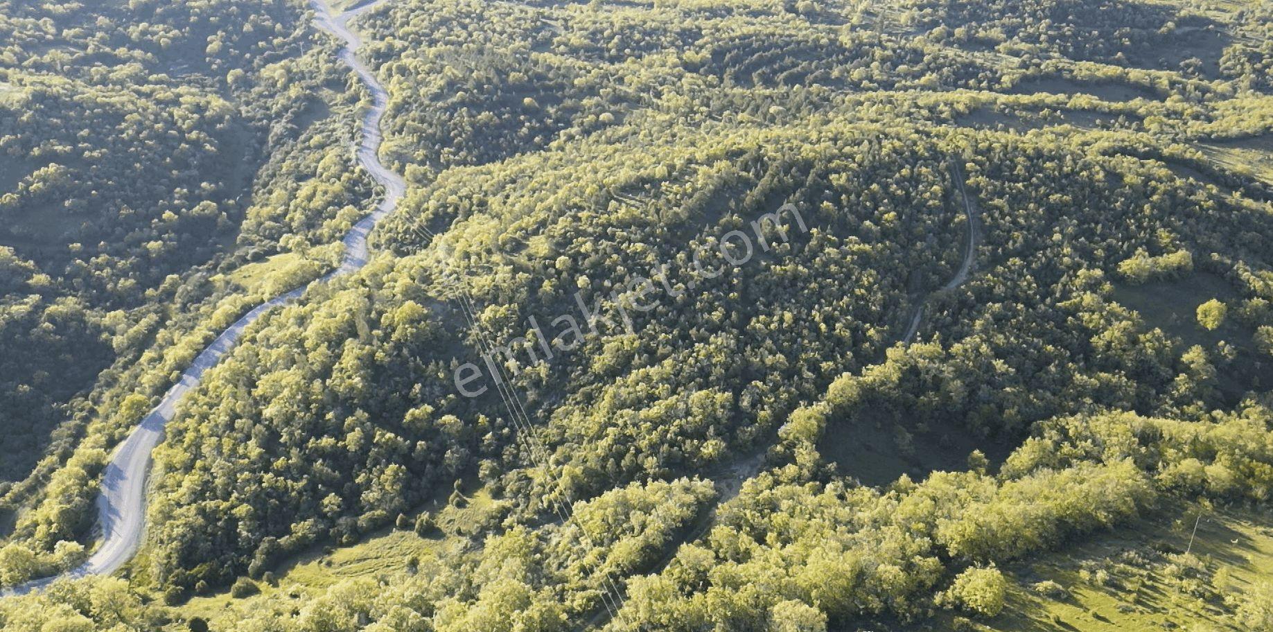 1.157 M2 Satılık Tarla Keşif Arazi. Asfaltta Yakın, Ormandan Özel Yolu Var. — fotoğraf 15