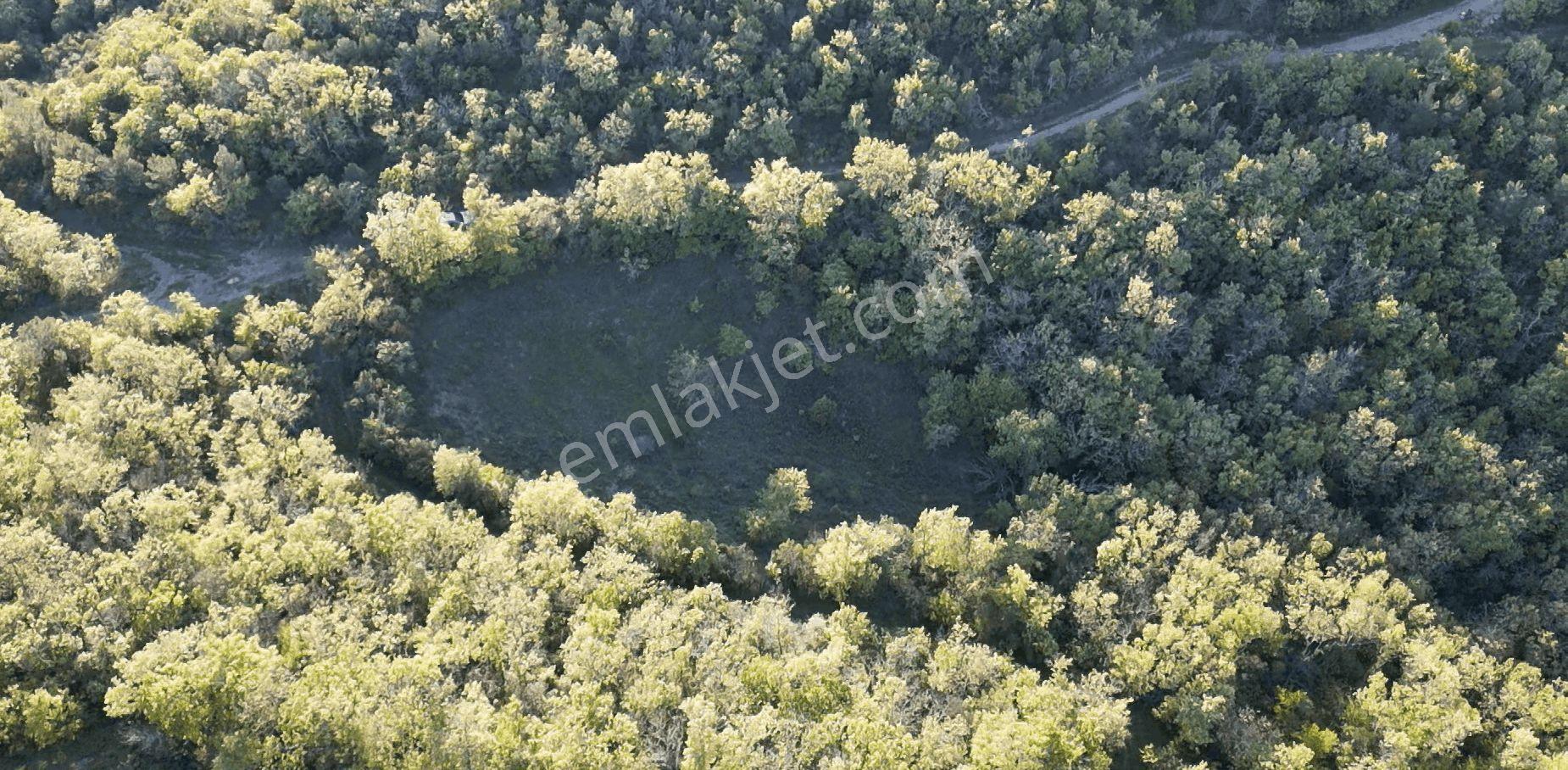 1.157 M2 Satılık Tarla Keşif Arazi. Asfaltta Yakın, Ormandan Özel Yolu Var. — fotoğraf 17