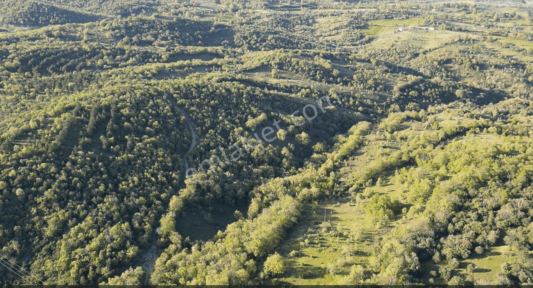 1.157 M2 Satılık Tarla Keşif Arazi. Asfaltta Yakın, Ormandan Özel Yolu Var. — fotoğraf 19