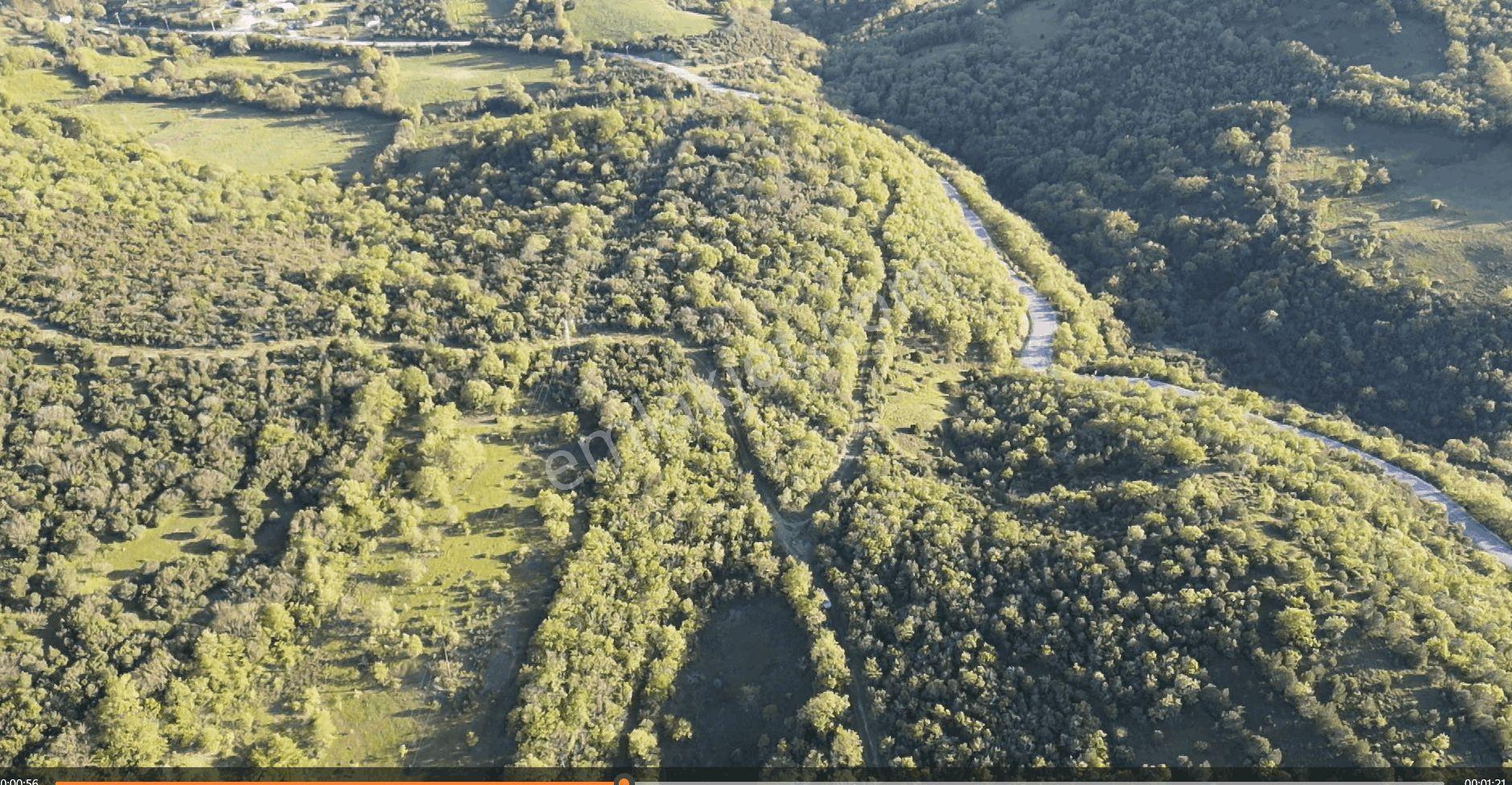 1.157 M2 Satılık Tarla Keşif Arazi. Asfaltta Yakın, Ormandan Özel Yolu Var. — fotoğraf 22