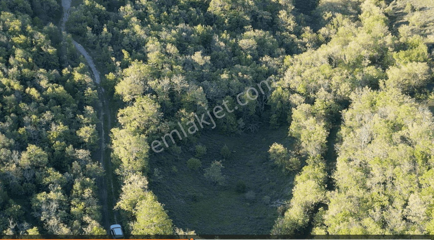 1.157 M2 Satılık Tarla Keşif Arazi. Asfaltta Yakın, Ormandan Özel Yolu Var. — fotoğraf 23