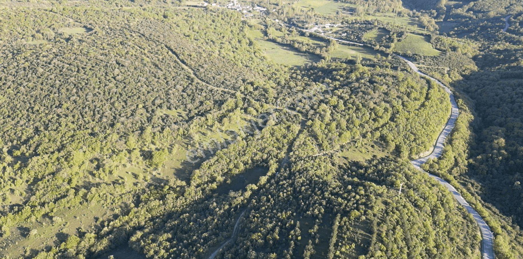 1.157 M2 Satılık Tarla Keşif Arazi. Asfaltta Yakın, Ormandan Özel Yolu Var. — fotoğraf 25
