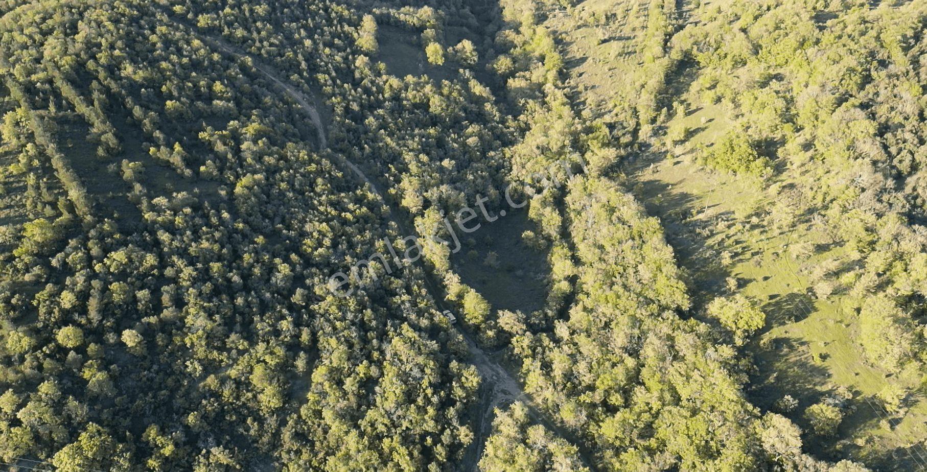 1.157 M2 Satılık Tarla Keşif Arazi. Asfaltta Yakın, Ormandan Özel Yolu Var. — fotoğraf 27
