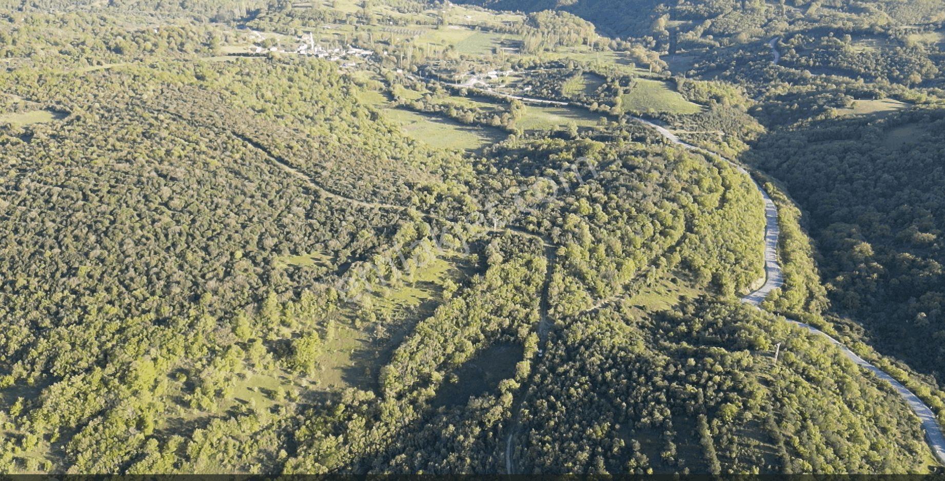 1.157 M2 Satılık Tarla Keşif Arazi. Asfaltta Yakın, Ormandan Özel Yolu Var. — fotoğraf 28