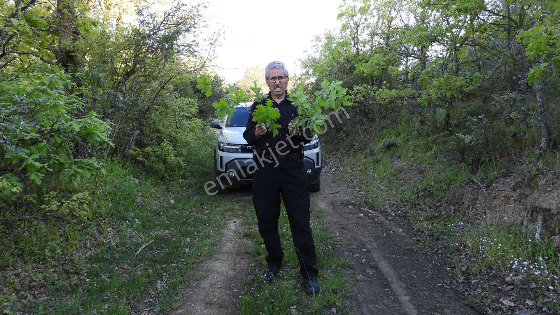 1.157 M2 Satılık Tarla Keşif Arazi. Asfaltta Yakın, Ormandan Özel Yolu Var. — fotoğraf 29