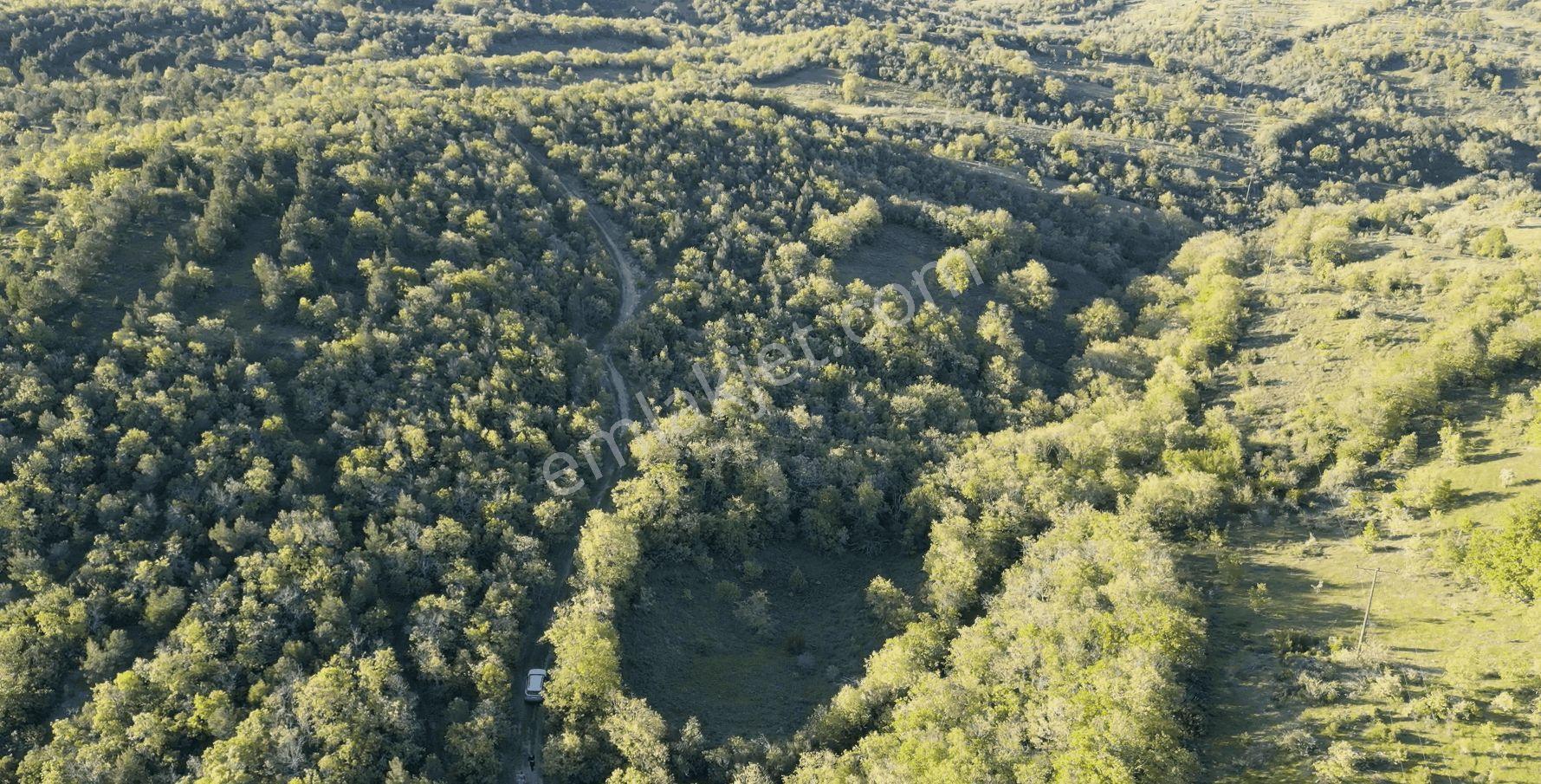 1.157 M2 Satılık Tarla Keşif Arazi. Asfaltta Yakın, Ormandan Özel Yolu Var. — fotoğraf 30