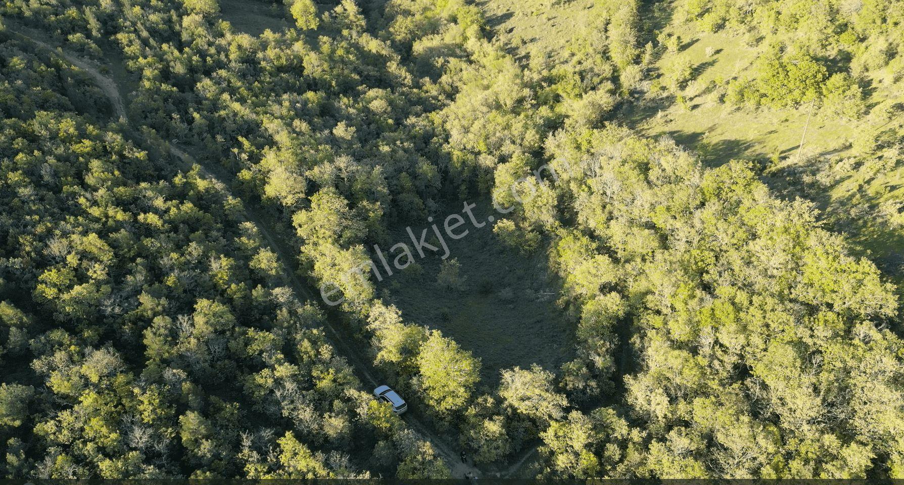 1.157 M2 Satılık Tarla Keşif Arazi. Asfaltta Yakın, Ormandan Özel Yolu Var. — fotoğraf 33