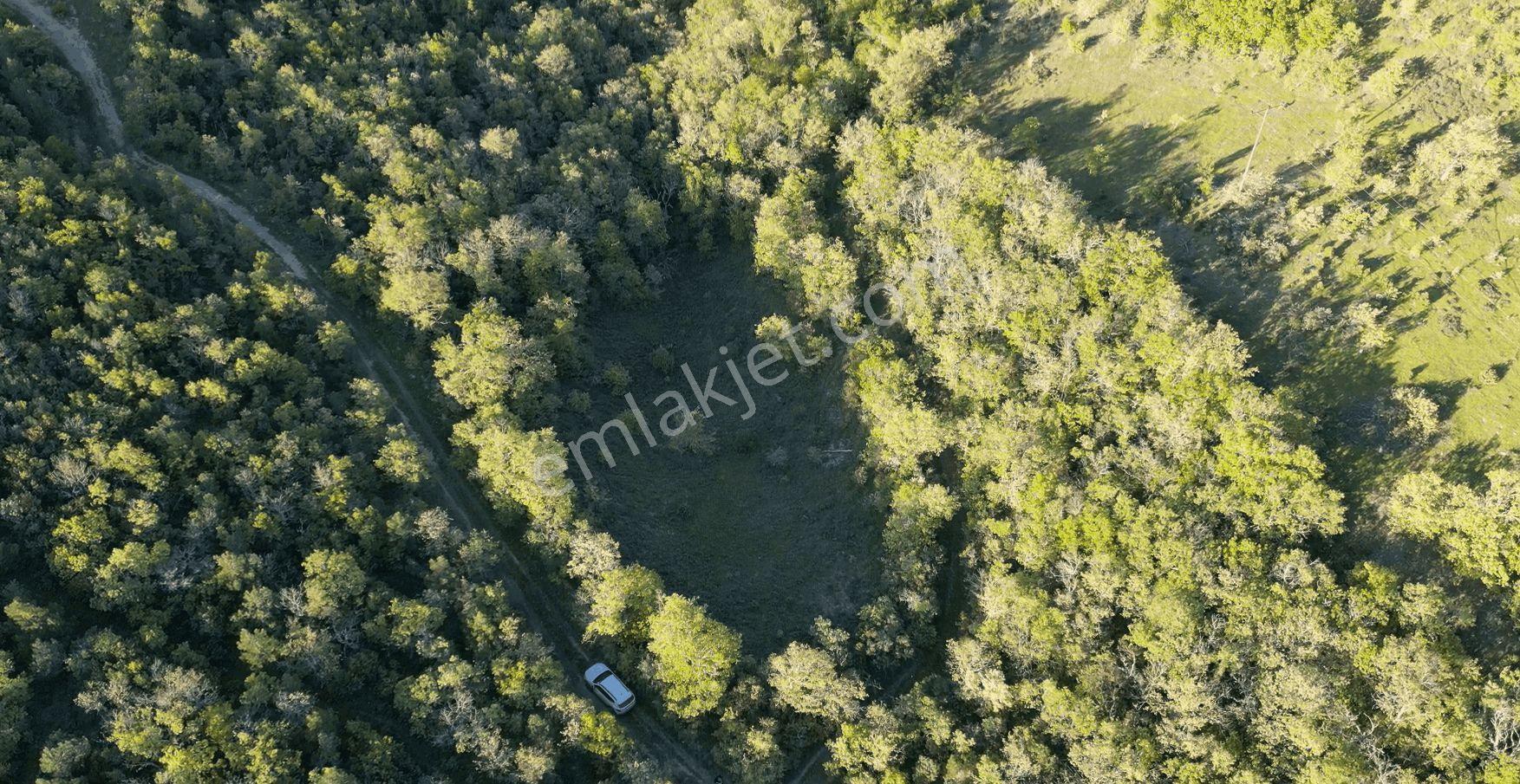 1.157 M2 Satılık Tarla Keşif Arazi. Asfaltta Yakın, Ormandan Özel Yolu Var. — fotoğraf 36
