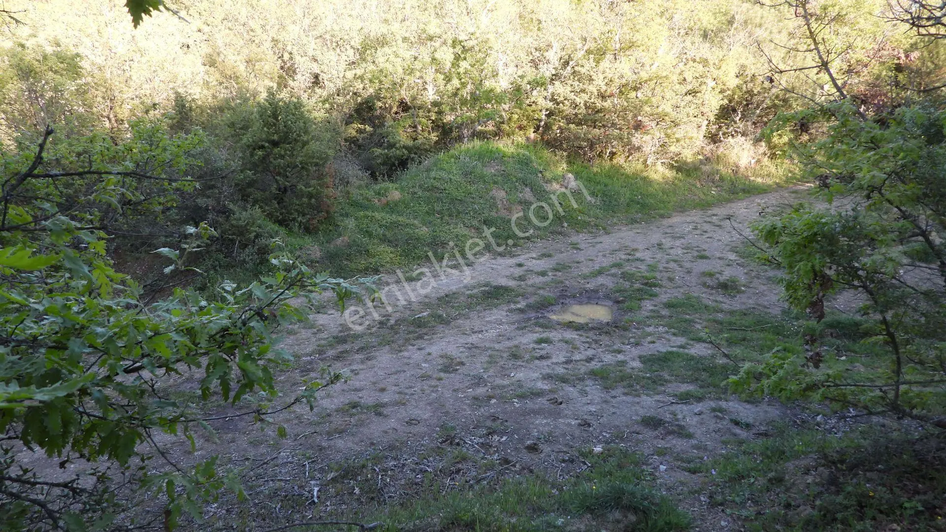 1.157 M2 Satılık Tarla Keşif Arazi. Asfaltta Yakın, Ormandan Özel Yolu Var. — fotoğraf 37