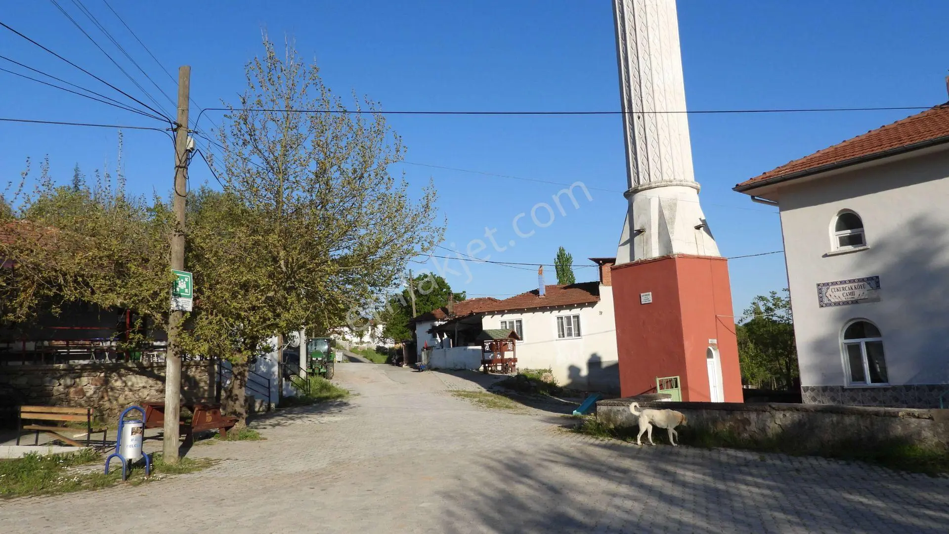 1.157 M2 Satılık Tarla Keşif Arazi. Asfaltta Yakın, Ormandan Özel Yolu Var. — fotoğraf 38
