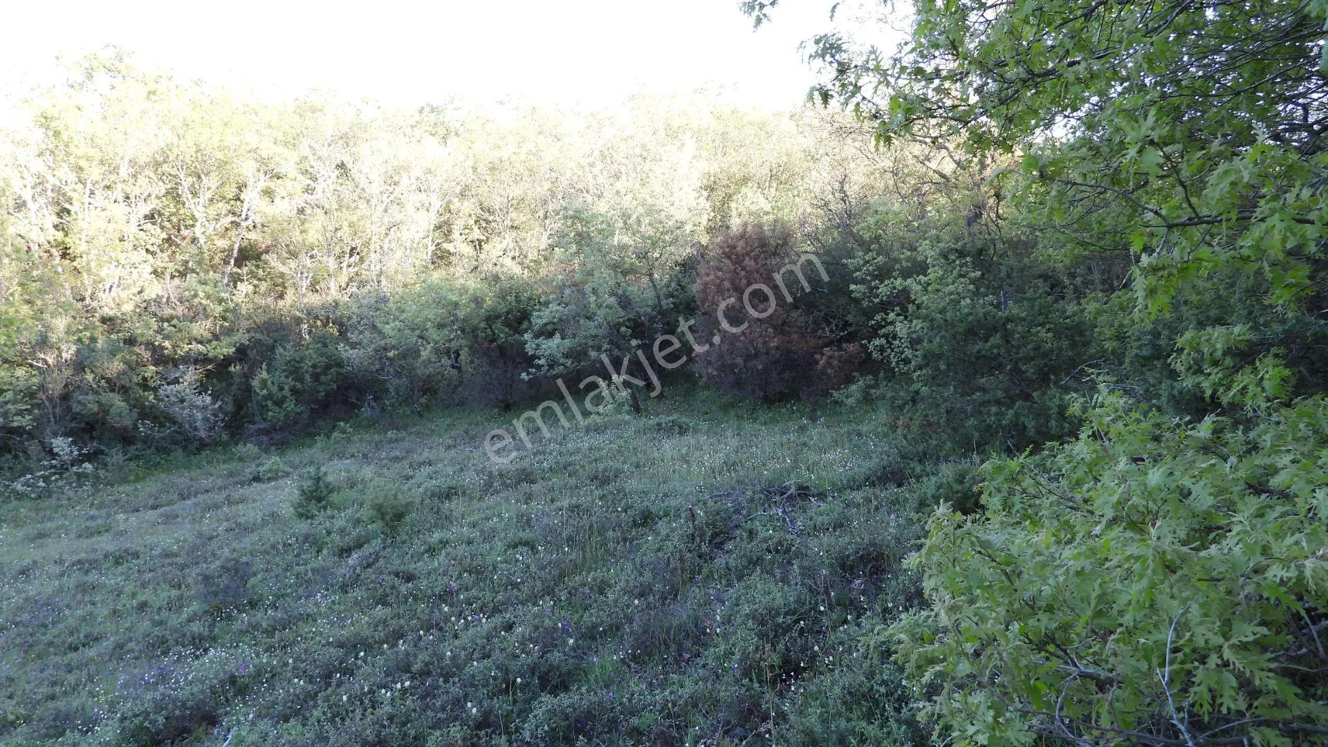 1.157 M2 Satılık Tarla Keşif Arazi. Asfaltta Yakın, Ormandan Özel Yolu Var. — fotoğraf 46