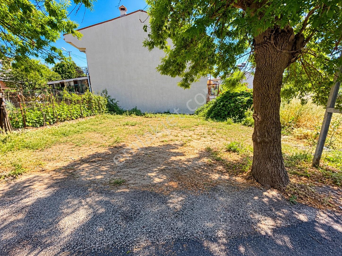 Selimpaşa'da Denize Yürüme Mesafesinde Köşe Parsel Villa Arsası — fotoğraf 4