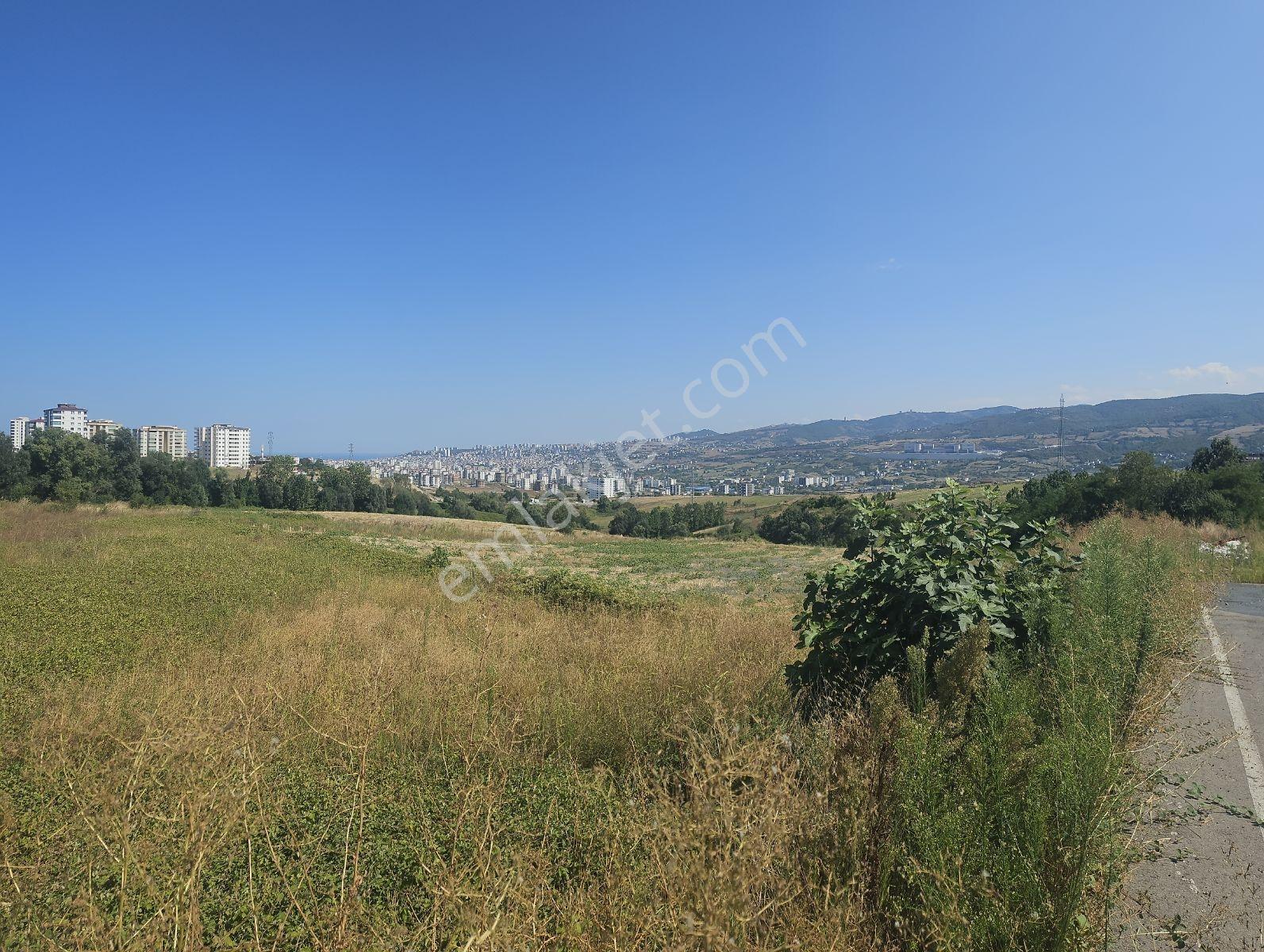 Tepecikde Arsa — fotoğraf 2