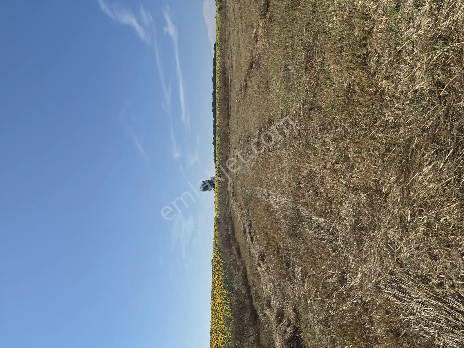 Saray Küçükyoncalı Köyünde 3315 M2 Tek Tapu Tarla — fotoğraf 3