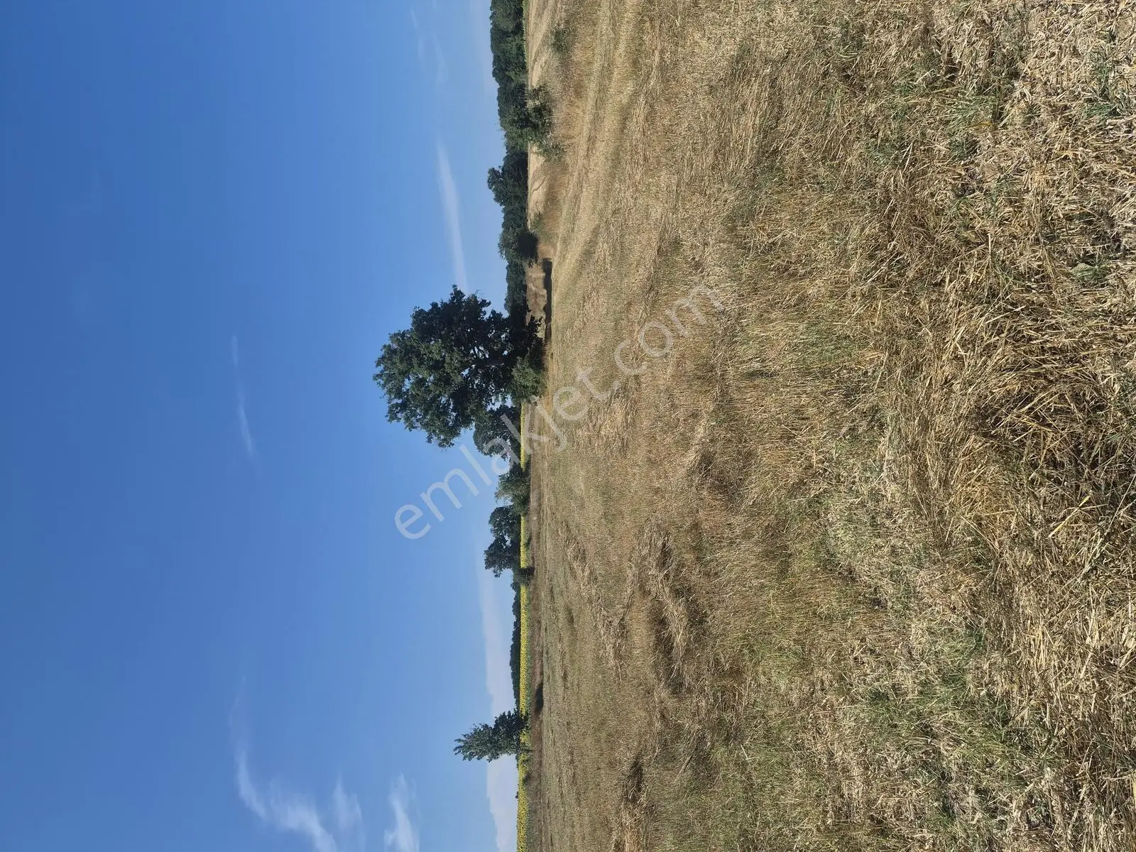 Saray Küçükyoncalı Köyünde 3315 M2 Tek Tapu Tarla — fotoğraf 4