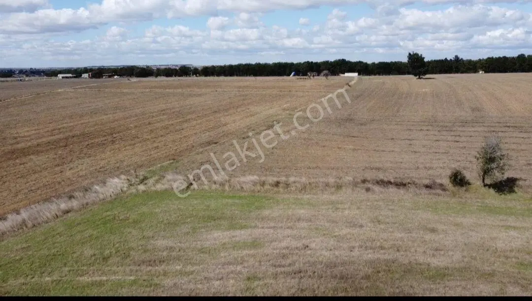 Saray Küçükyoncalı Köyünde 3315 M2 Tek Tapu Tarla — fotoğraf 7