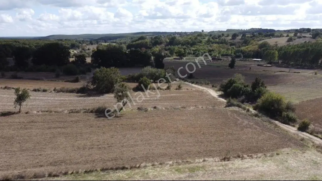 Saray Küçükyoncalı Köyünde 3315 M2 Tek Tapu Tarla — fotoğraf 8
