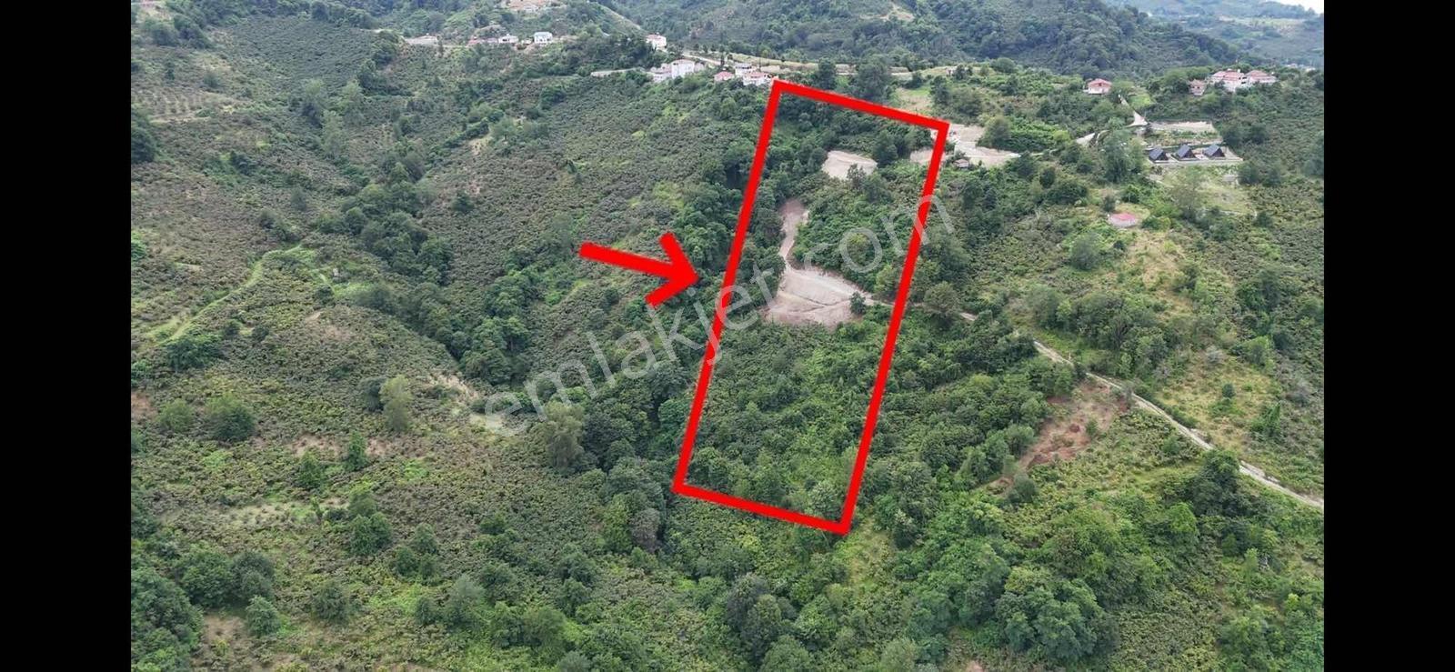 Deniz Ve Doğa Manzaralı 11.300m2 — fotoğraf 3