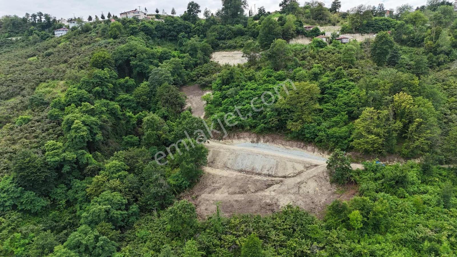 Deniz Ve Doğa Manzaralı 11.300m2 — fotoğraf 4