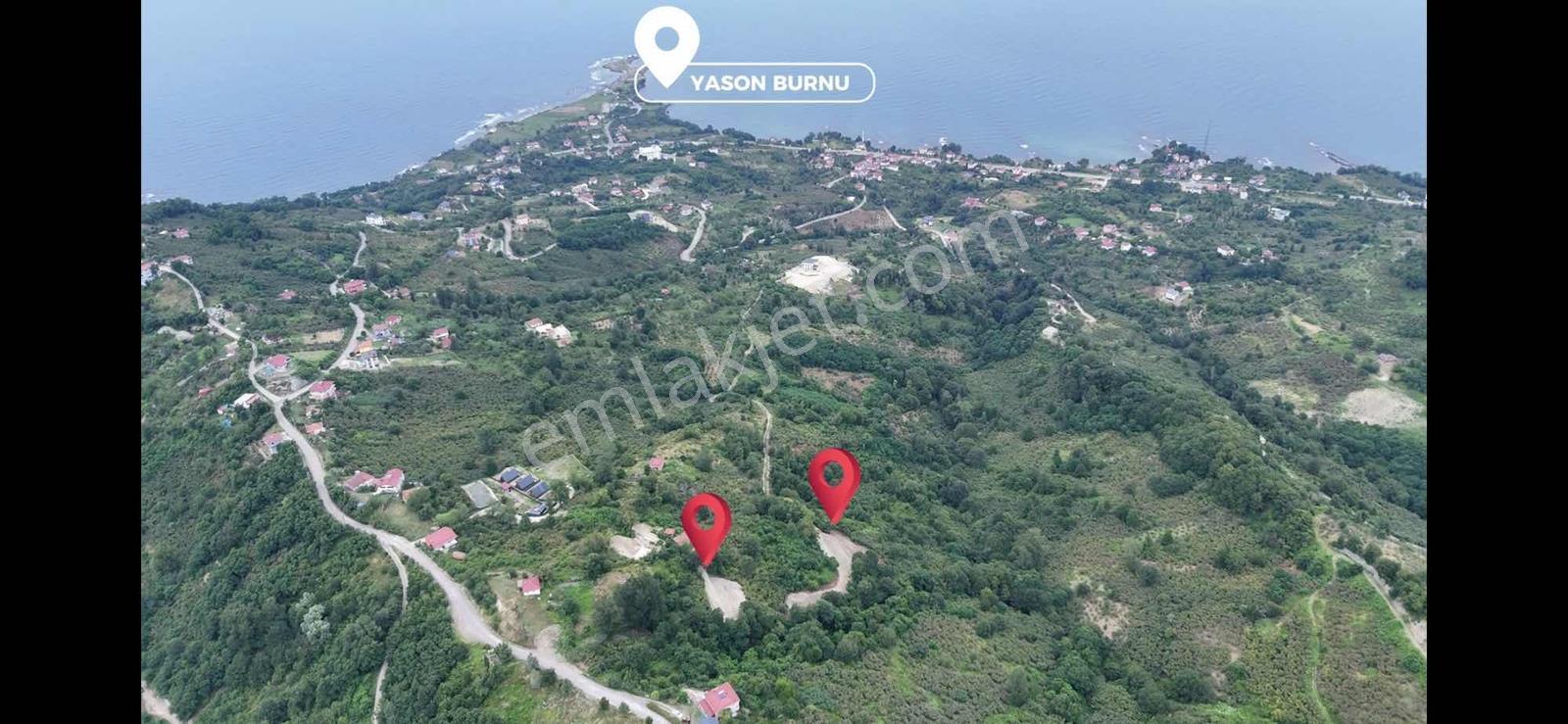 Deniz Ve Doğa Manzaralı 11.300m2 — fotoğraf 5