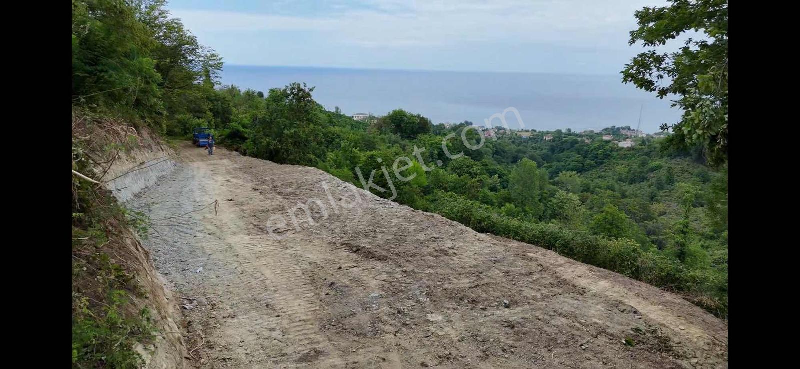 Deniz Ve Doğa Manzaralı 11.300m2 — fotoğraf 6