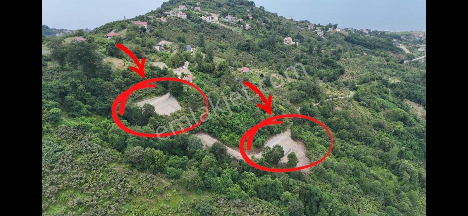 Deniz Ve Doğa Manzaralı 11.300m2 — fotoğraf 9