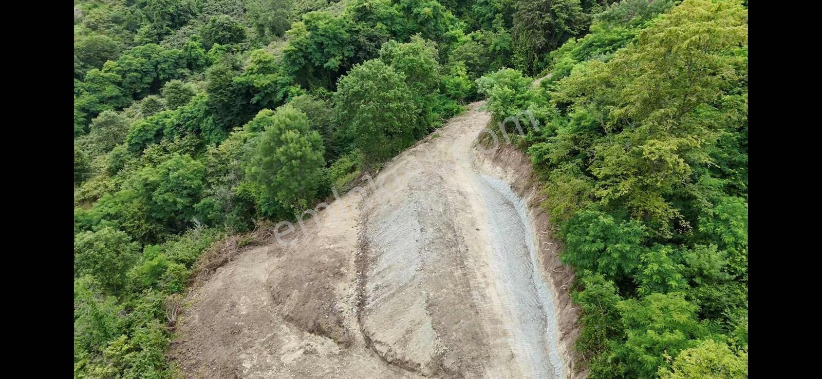 Deniz Ve Doğa Manzaralı 11.300m2 — fotoğraf 13