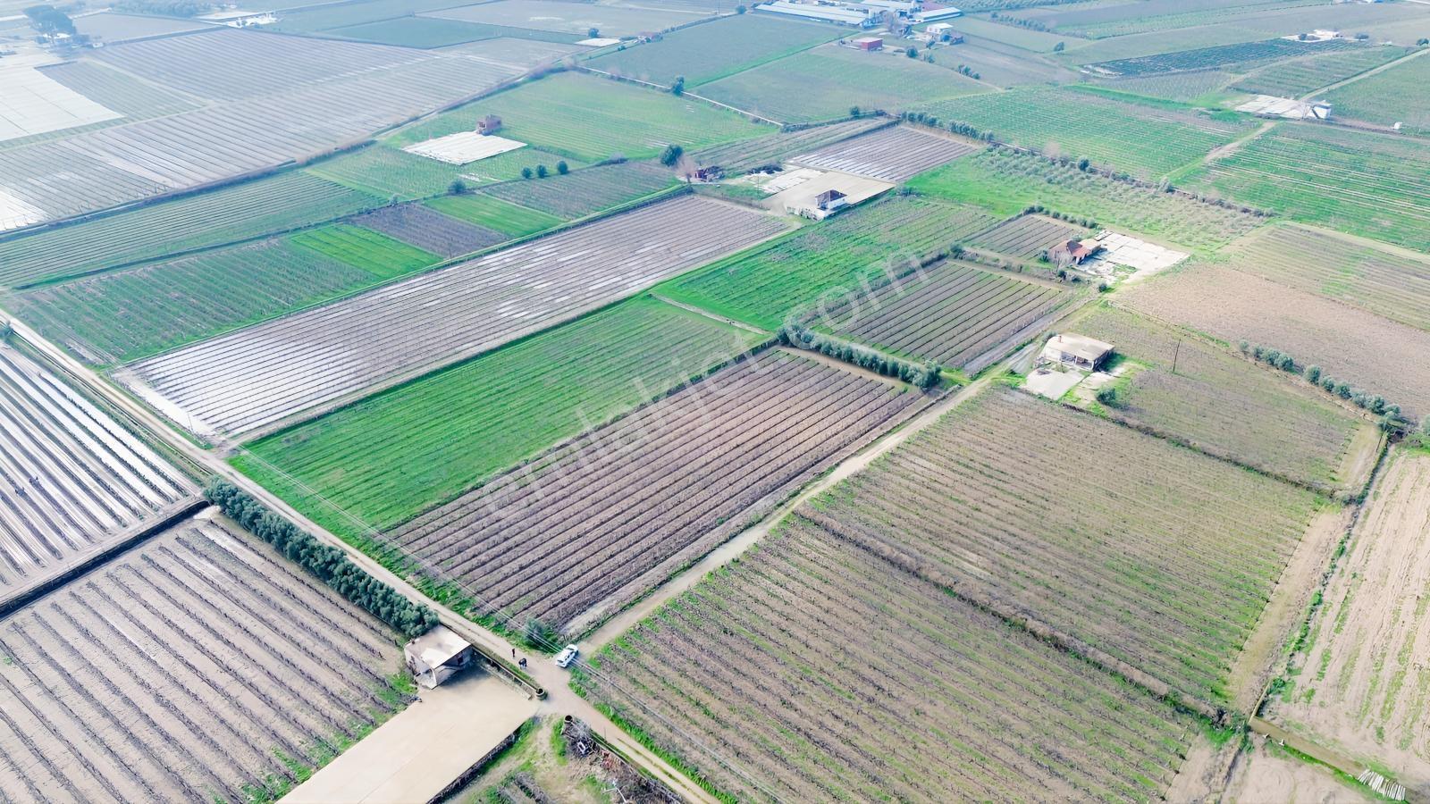 Pusula Gayrimenkul'den Satılık 15.240 M2 Bağ Belenyaka Alaşehir — fotoğraf 7