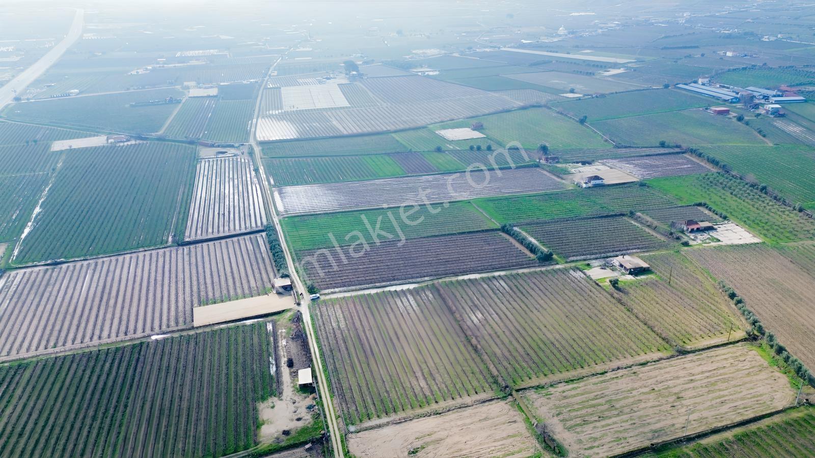 Pusula Gayrimenkul'den Satılık 15.240 M2 Bağ Belenyaka Alaşehir — fotoğraf 8