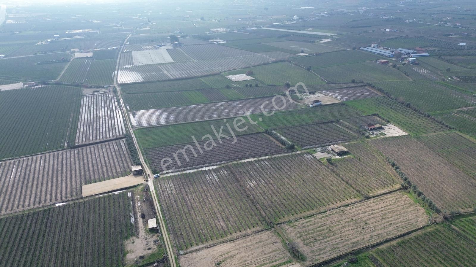 Pusula Gayrimenkul'den Satılık 15.240 M2 Bağ Belenyaka Alaşehir — fotoğraf 10