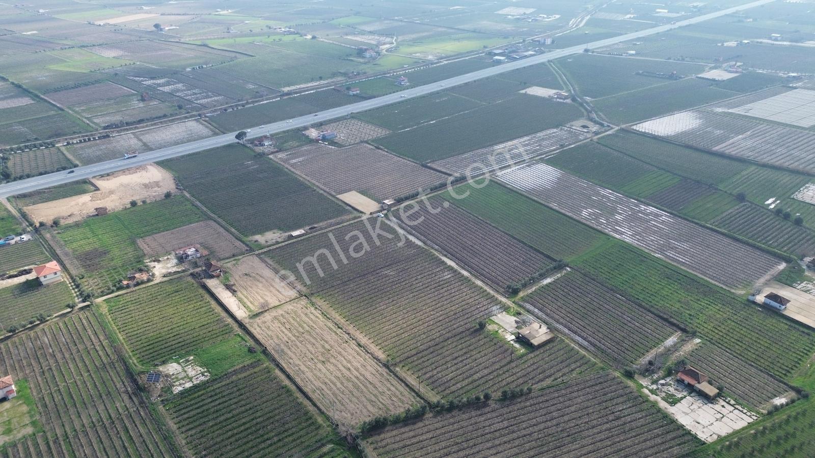 Pusula Gayrimenkul'den Satılık 15.240 M2 Bağ Belenyaka Alaşehir — fotoğraf 12