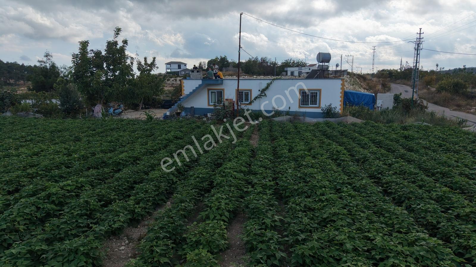 Gücüşte Yatırımlık Hemde Oturumluk 7.900 M² Kurulu Sera Ev — fotoğraf 2