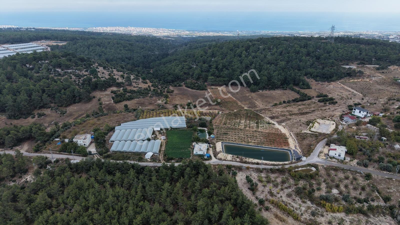 Gücüşte Yatırımlık Hemde Oturumluk 7.900 M² Kurulu Sera Ev — fotoğraf 7