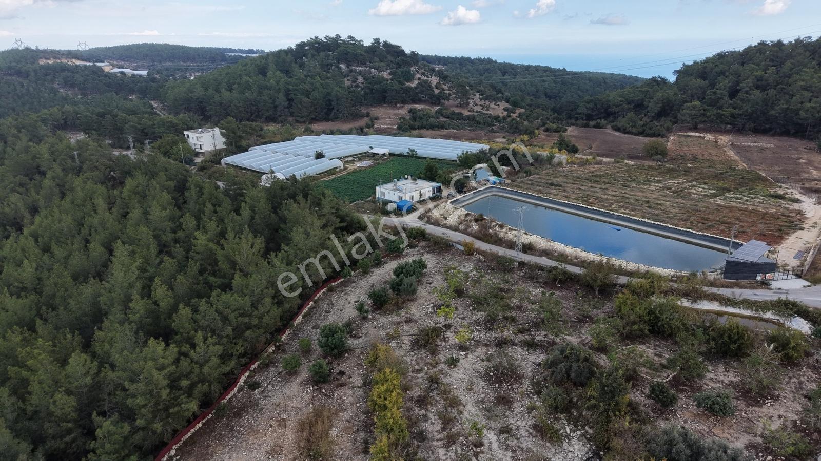 Gücüşte Yatırımlık Hemde Oturumluk 7.900 M² Kurulu Sera Ev — fotoğraf 8