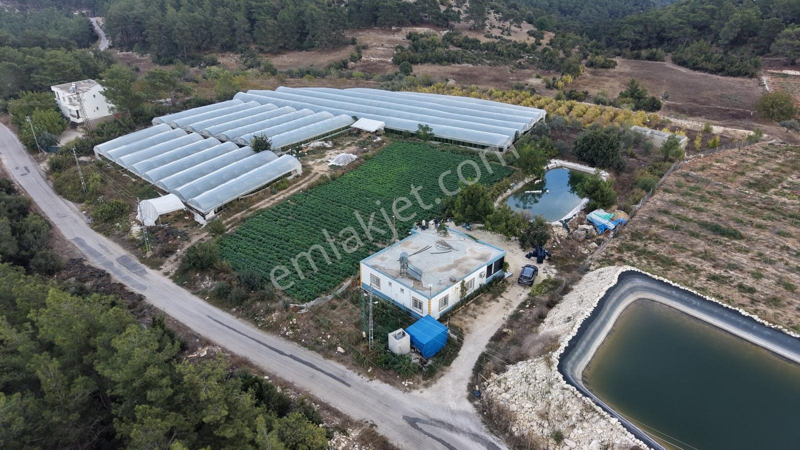 Gücüşte Yatırımlık Hemde Oturumluk 7.900 M² Kurulu Sera Ev — fotoğraf 9