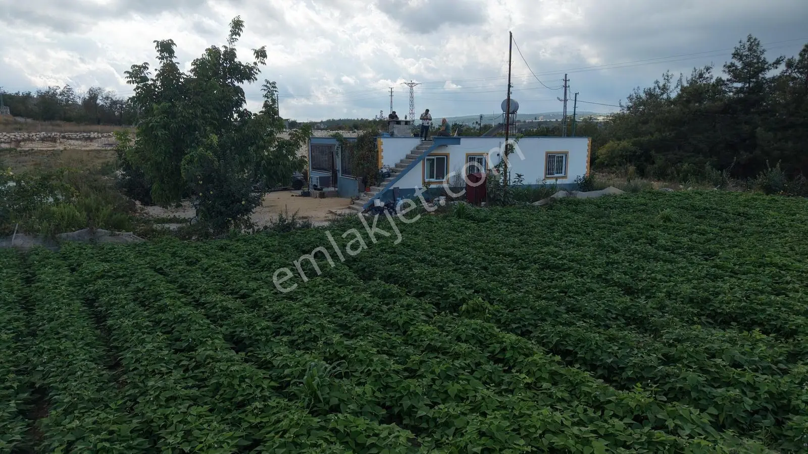 Gücüşte Yatırımlık Hemde Oturumluk 7.900 M² Kurulu Sera Ev — fotoğraf 10