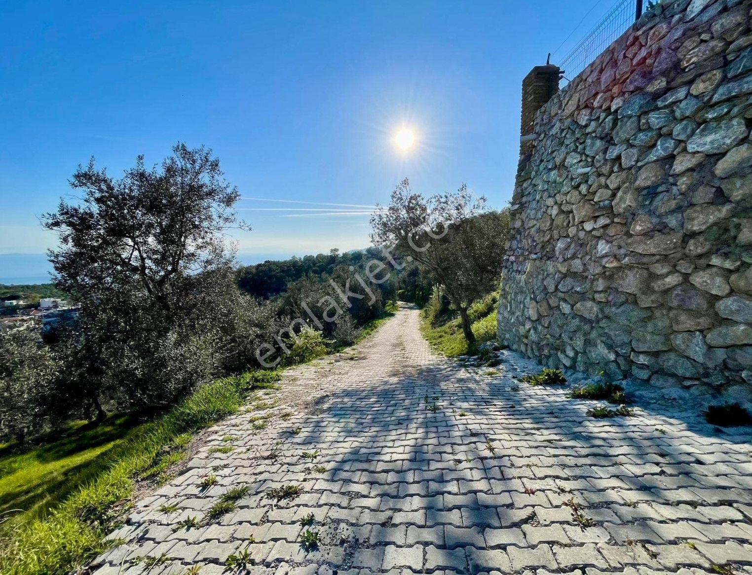 Doyran Köyü’nde %40 Köy İmarında Satılık Arsa — fotoğraf 8