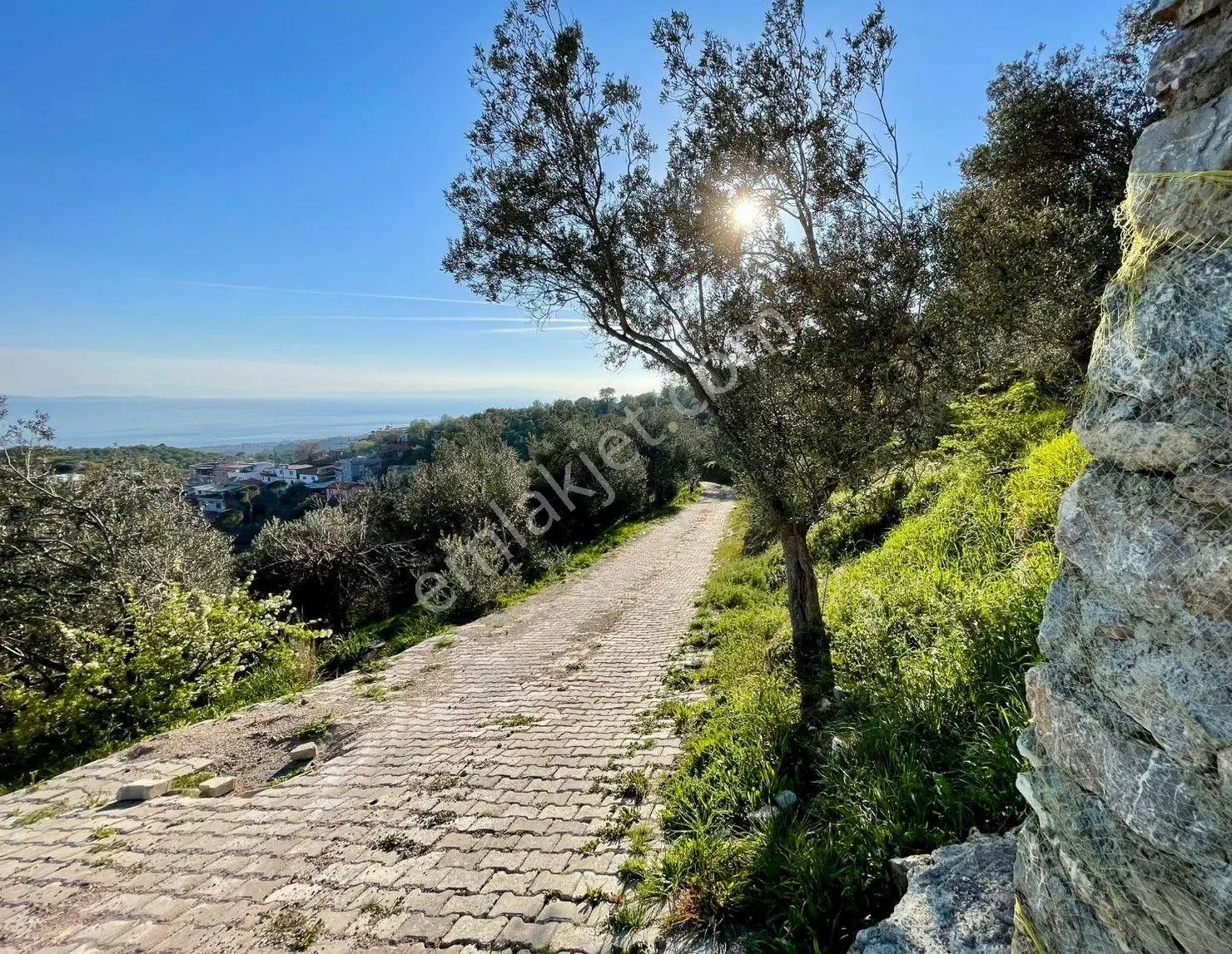 Doyran Köyü’nde %40 Köy İmarında Satılık Arsa — fotoğraf 10