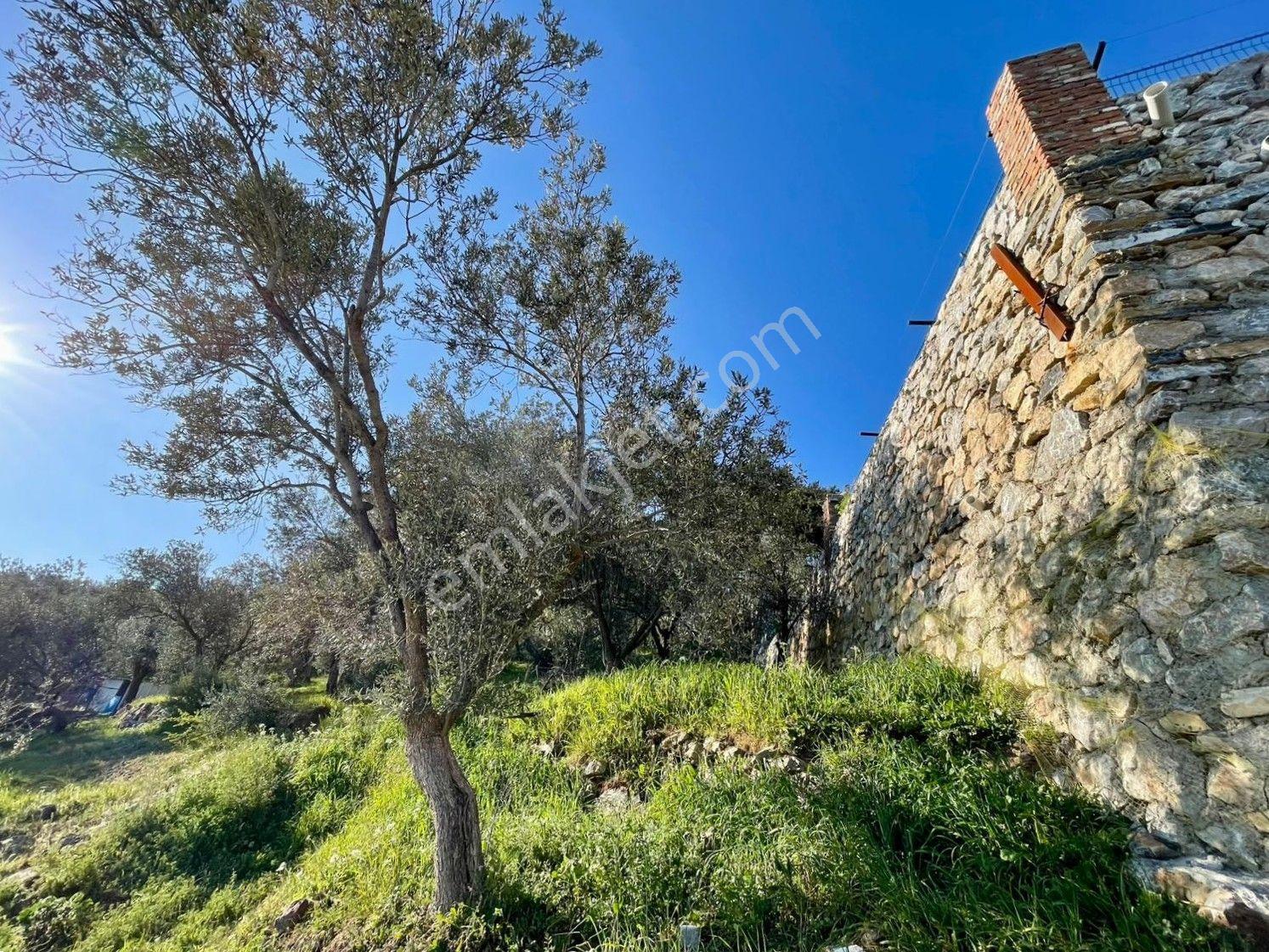 Doyran Köyü’nde %40 Köy İmarında Satılık Arsa — fotoğraf 11