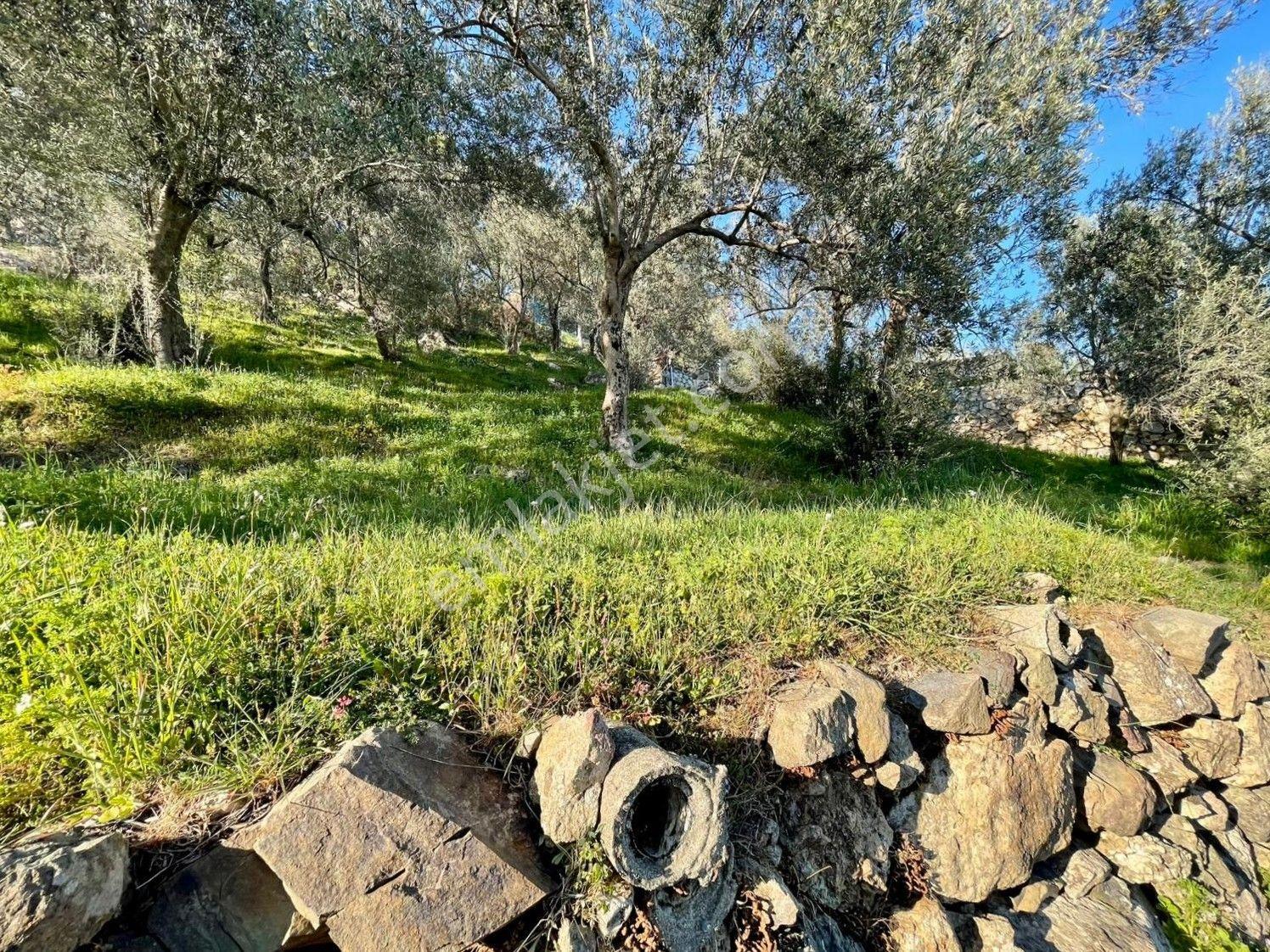 Doyran Köyü’nde %40 Köy İmarında Satılık Arsa — fotoğraf 19