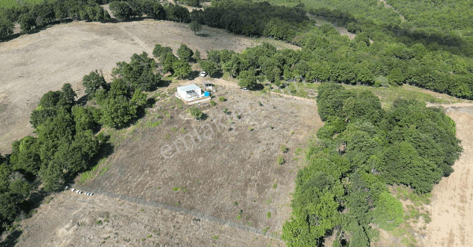 4.008 M2 Satılık Bağ Evi. Keşif Arazi. Balıkesir Gönen Kavakalan 116 Ada 13 Parsel. Sahibi Muhittin — fotoğraf 27